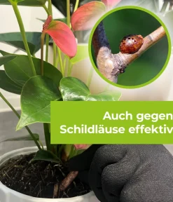 PROTECT GARDEN Schädlingsbekämpfungsmittel - Lizetan Plus Combistäbchen
