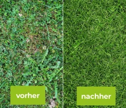 PROTECT GARDEN Unkrautvernichter > Loredo® Quattro Universal-Rasenunkrautfrei