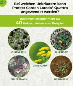 PROTECT GARDEN Loredo® Quattro Universal-Rasenunkrautfrei Outlet