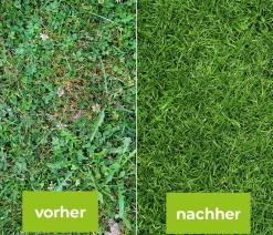 PROTECT GARDEN Loredo® Quattro Universal-Rasenunkrautfrei Outlet