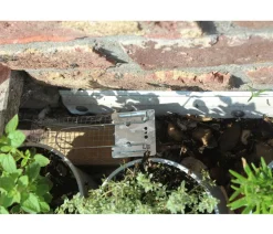PROTECT HOME Insektenschutz & Fallen - Lebendfalle Ratte Drahtkäfig, 1 Stk. Silber