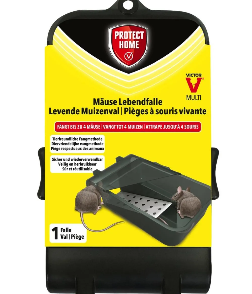 PROTECT HOME Mäuse Lebendfalle Multi, 1 Stk. Dunkelgrau Hot