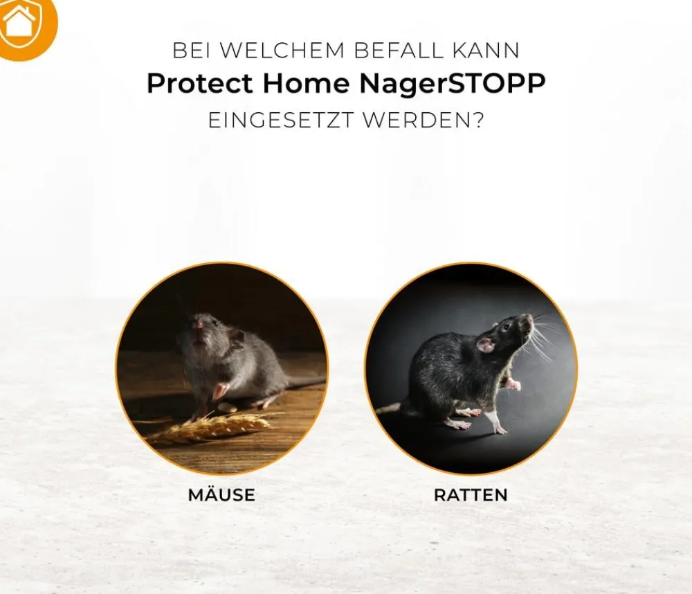 PROTECT HOME Insektenschutz & Fallen > NagerSTOPP