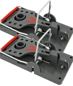 PROTECT HOME Rattenfalle Click, 2 Stk. Dunkelgrau Online
