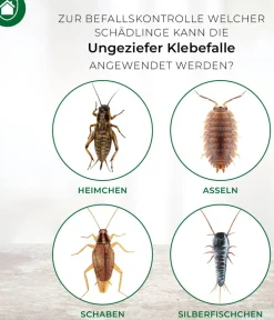 PROTECT HOME Insektenschutz & Fallen > Ungeziefer Klebefalle zur Befallsermittlung, 4 Stk.