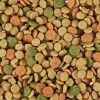 PURINA felix® Trockenfutter für Katzen Inhome Sensations, 2 kg Online