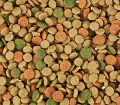PURINA felix® Trockenfutter für Katzen Inhome Sensations, 2 kg Online