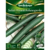 Quedlinburger Salat-/Gewächshausgurke 'Saladin' Online
