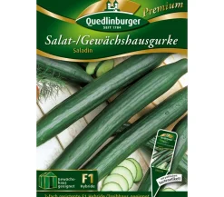 Quedlinburger Salat-/Gewächshausgurke 'Saladin' Online