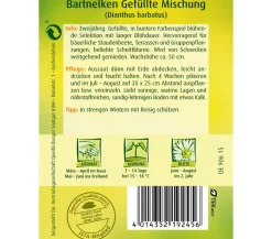Quedlinburger Samen Bartnelke 'Gefüllte Mischung' Bunt Outlet