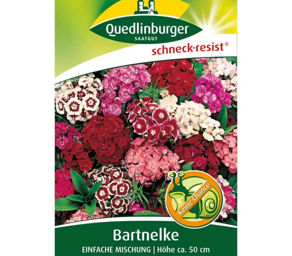 Quedlinburger Blumensamen - Samen Bartnelke 'Einfache Mischung'