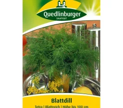 Quedlinburger Kräutersamen > Samen Dill 'Tetra'