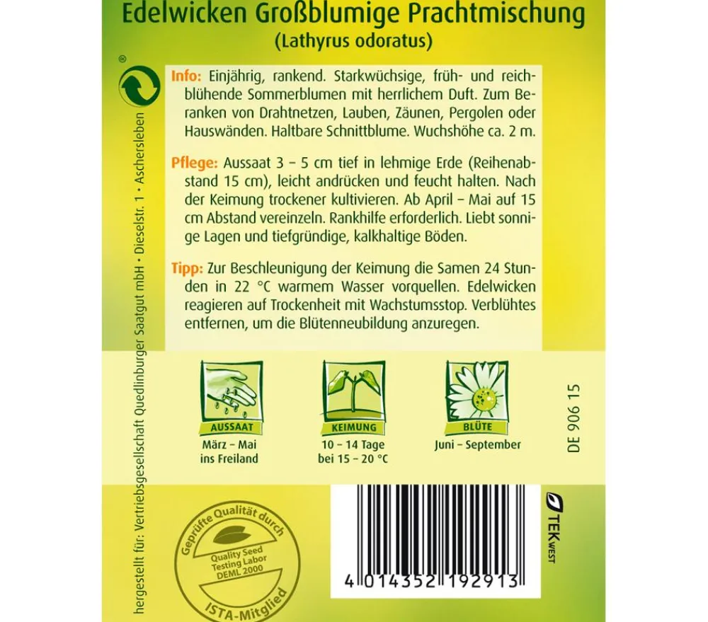 Quedlinburger Blumensamen - Samen Edelwicke 'Grossblumige Mischung' Bunt