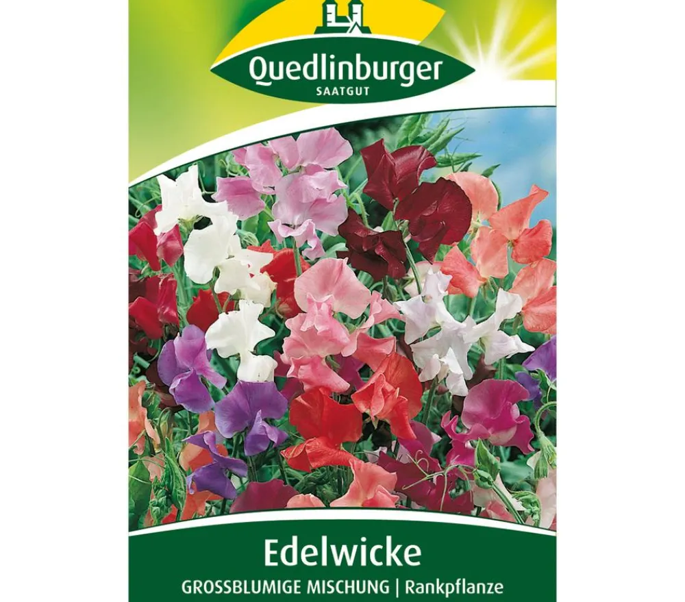 Quedlinburger Blumensamen - Samen Edelwicke 'Grossblumige Mischung' Bunt