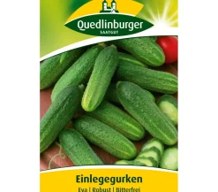 Quedlinburger Samen Einlegegurke 'Eva' Clearance