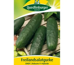Quedlinburger Gemüsesamen - Samen Freilandsalatgurke 'Sindy'