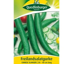 Quedlinburger Samen Freilandsalatgurke 'Chinese Slangen' Clearance