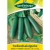 Quedlinburger Gemüsesamen - Samen Freilandsalatgurke 'Konsa'