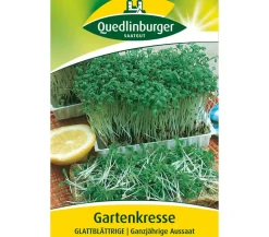 Quedlinburger Kräutersamen - Samen Gartenkresse 'Glattblättrige'