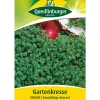 Quedlinburger Kräutersamen - Samen Gartenkresse 'Krause'