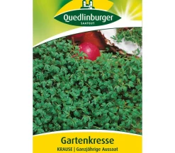 Quedlinburger Kräutersamen - Samen Gartenkresse 'Krause'