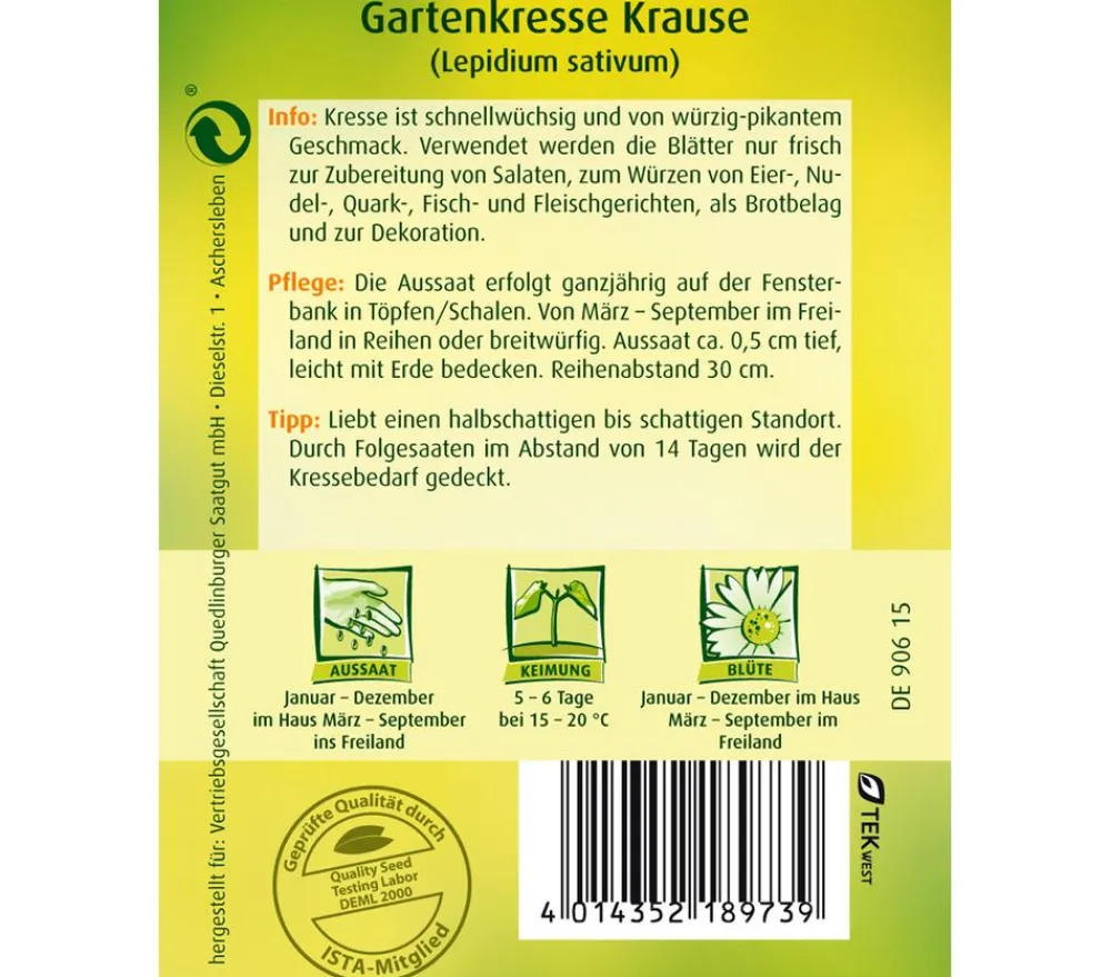 Quedlinburger Kräutersamen - Samen Gartenkresse 'Krause'