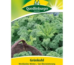 Quedlinburger Samen Grünkohl 'Westlandse Winter' Best