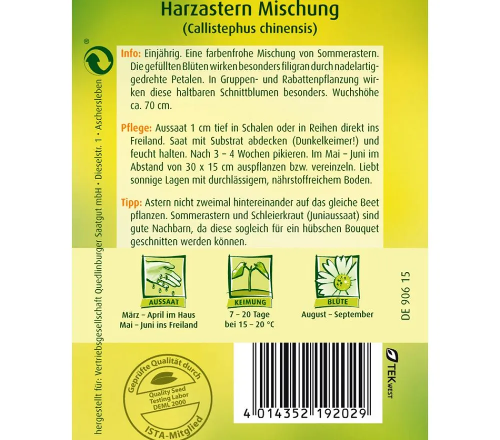 Quedlinburger Blumensamen > Samen Harzaster 'Mischung'