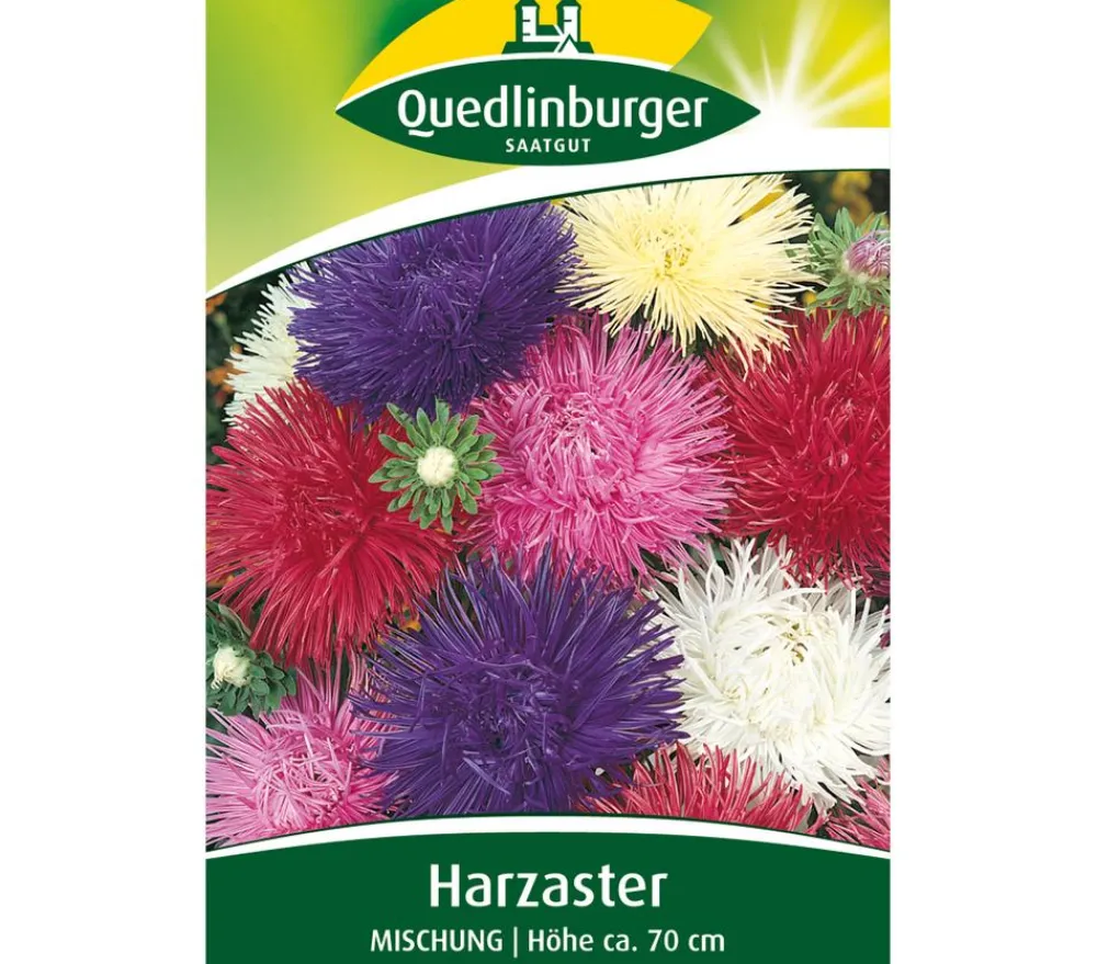 Quedlinburger Blumensamen > Samen Harzaster 'Mischung'