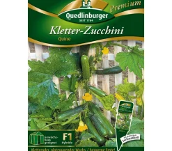 Quedlinburger Gemüsesamen > Samen Kletter-Zucchini 'Quine'