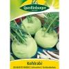 Quedlinburger Gemüsesamen > Samen Kohlrabi 'Delikateß Weißer'