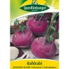 Quedlinburger Gemüsesamen - Samen Kohlrabi 'Delikatess Blauer'