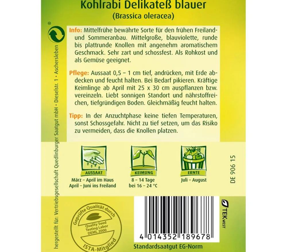 Quedlinburger Gemüsesamen - Samen Kohlrabi 'Delikatess Blauer'