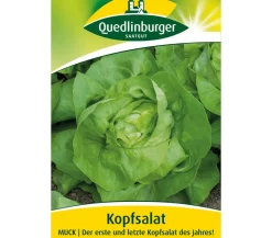 Quedlinburger Samen Kopfsalat 'Muck' New