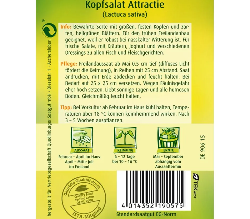 Quedlinburger Samen Kopfsalat 'Attractie' Hot