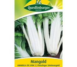 Quedlinburger Samen Mangold 'Amarilla De Lyon 2' Online