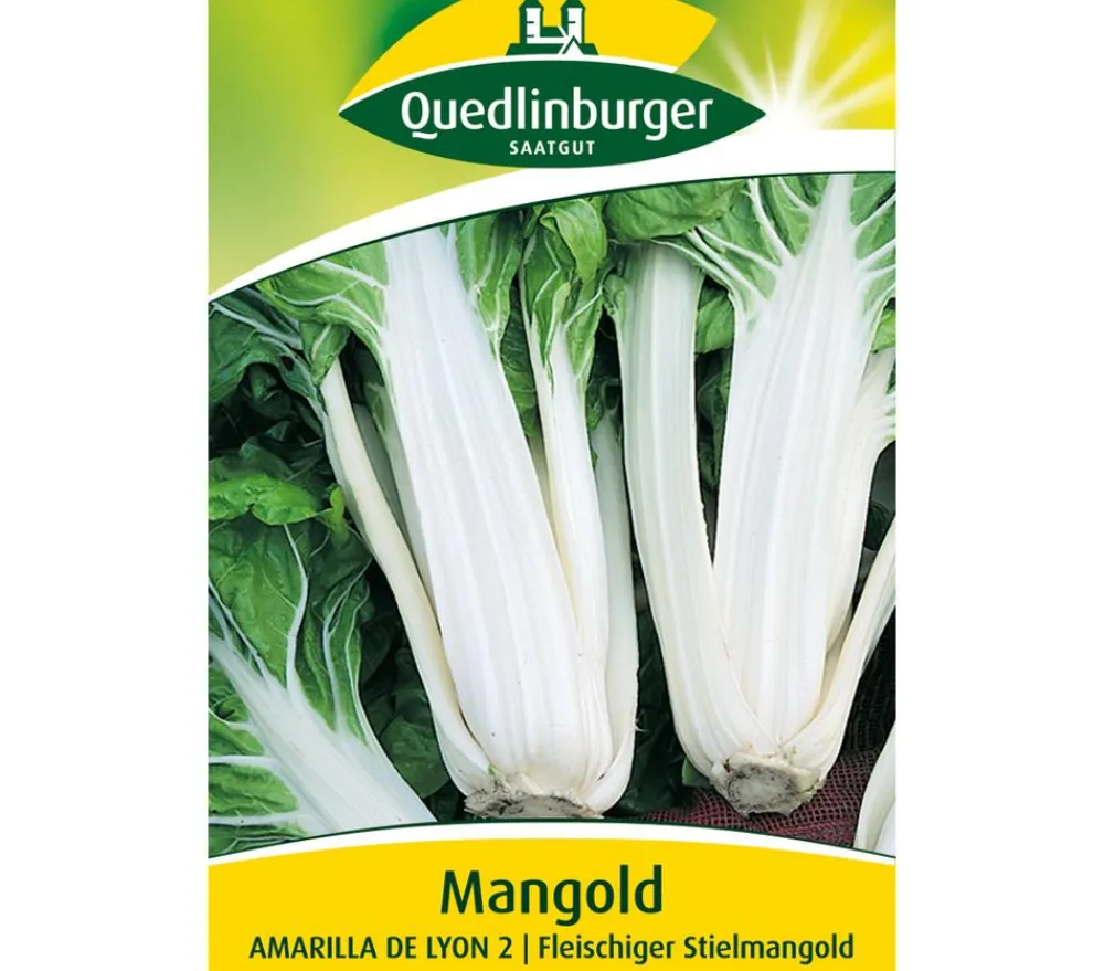 Quedlinburger Samen Mangold 'Amarilla De Lyon 2' Online