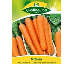 Quedlinburger Gemüsesamen - Samen Möhren 'Frühe Amsterdam 2'