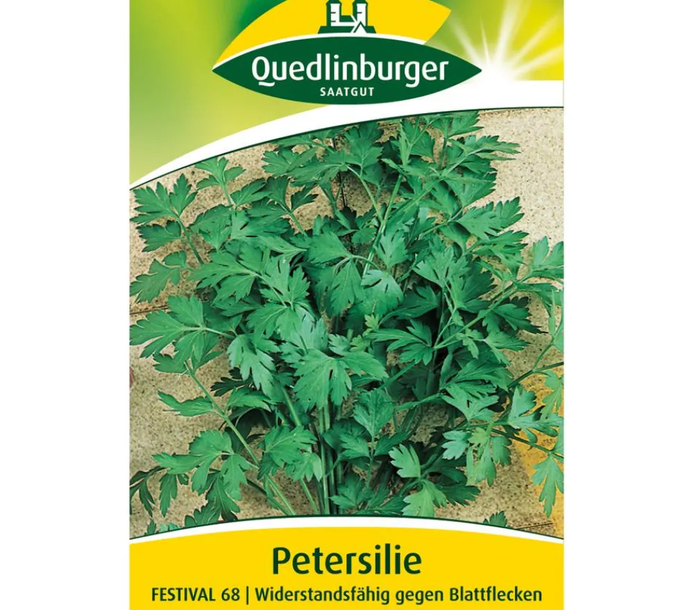 Quedlinburger Samen Petersilie 'Festival 68' Hot