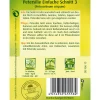 Quedlinburger Kräutersamen - Samen Petersilie 'Einfache Schnitt 3'