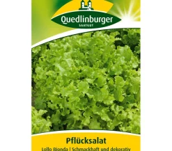 Quedlinburger Samen Plücksalat 'Lollo Bionda' Online