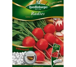 Quedlinburger Samen Radies 'Saxa 2' New