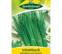 Quedlinburger Samen Schnittlauch 'Middleman' Outlet