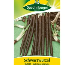 Quedlinburger Samen Schwarzwurzel 'Duplex' Best