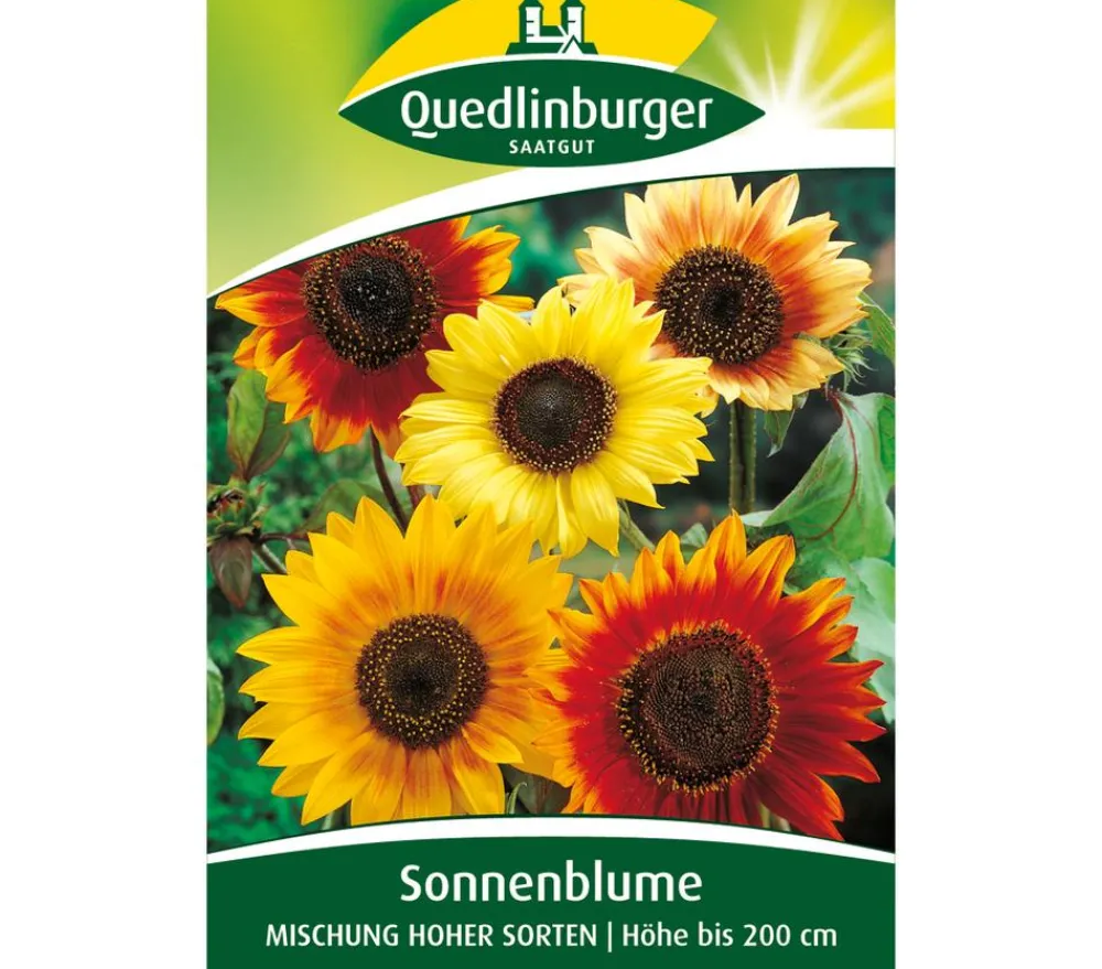 Quedlinburger Blumensamen > Samen Sonnenblumen 'Mischung hoher Sorten'