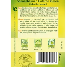 Quedlinburger Blumensamen > Samen Sonnenblumen 'Einfache Riesen'