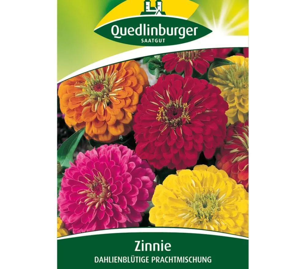 Quedlinburger Blumensamen > Samen Zinnie 'Dhalienblütige Mischung'