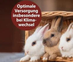 Quiko® Nahrungsergänzung Für Tiere|Nahrungsergänzung Kleintiere > Ergänzungsfutter für Nager Multivitaminsaft Vitacombex® Na