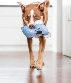 Red Dingo Hundespielzeug > Hundespielzeug DURABLES Toys Koala