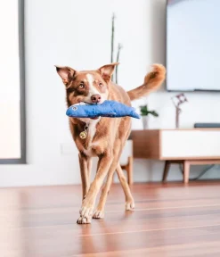 Red Dingo Hundespielzeug DURABLES Toys Hai Blau New